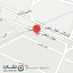 عکس پخش ماگ گلزار 