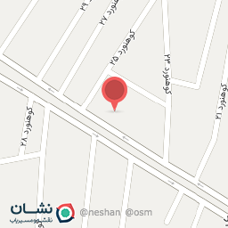 عکس پیتزا آلان