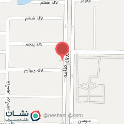 عکس دکتر طب سوزنی فریبا خضرایی