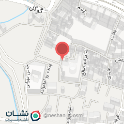 عکس مزار شهیده مهندس پریناز قادرپناه