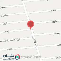 عکس دزدگیر ایمن گستر پویا