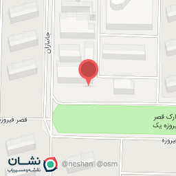 عکس پیتزا شمس