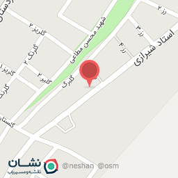 عکس برق خودرو استاد علی نوری