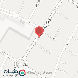 عکس کیف و کفش توپا