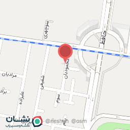 عکس تیشرت تبلیغاتی ایران دوخت