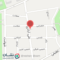 عکس کیف امیر