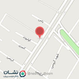 عکس ظروف یکبارمصرف سیاوش