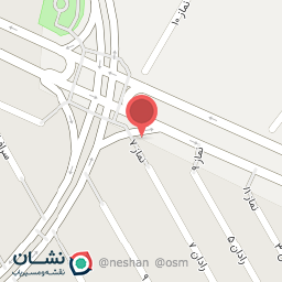 عکس پیتزا و ساندویچ ریحون