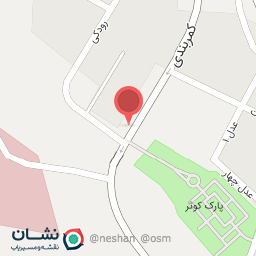 عکس صافکاری استاد روح الله کرمی