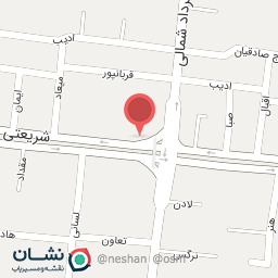 عکس پیتزا بهار