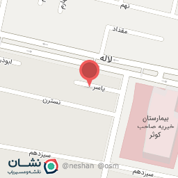 عکس ادوات موسیقی سنتی