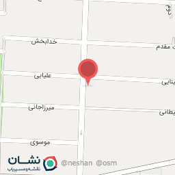 عکس پیتزا ناب