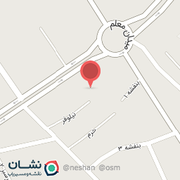 عکس خودپرداز ملت