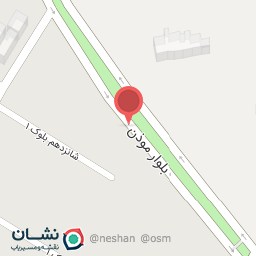 عکس اگزوزسازی اورجینال