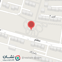 عکس فست فودک