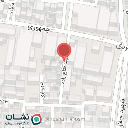 عکس کیف و کفش روشا