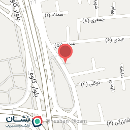 عکس باطری سروش