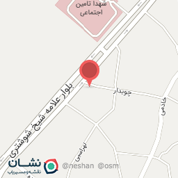 عکس فست فود گل های داودی