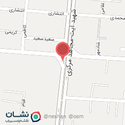 عکس شهید آیت-مجاهد مرکزی