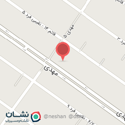 عکس کیف و کفش دیانا