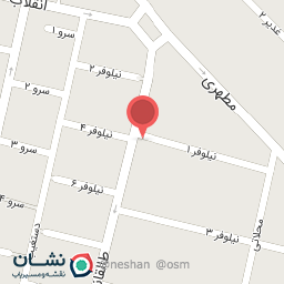 عکس کیف و کفش قلی زاده (پانو)