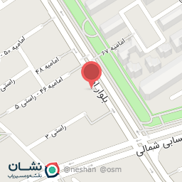 عکس پرنده 2000