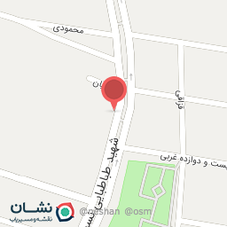 عکس پخش تخم مرغ سلیمانی