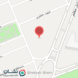 عکس مرغ و ماهی باران