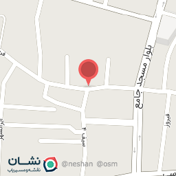 عکس هیئت زائر علی