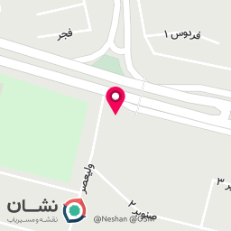 عکس رینگ و لاستیک امیرحسین