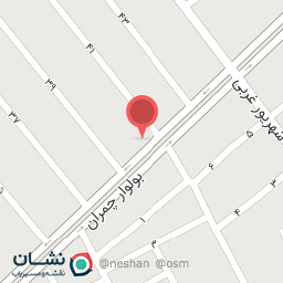 عکس فست فود دانش