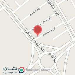 عکس اتوسرویس امیر