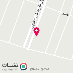 عکس تخلیه بار حسینی