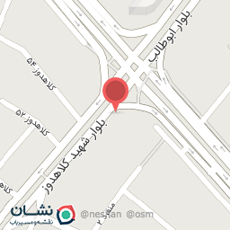 عکس چلوکباب مینا