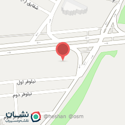 عکس خودپرداز