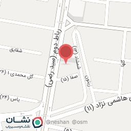 عکس پیتزا آنیل