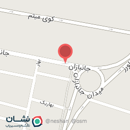 عکس سالی مد ملکان