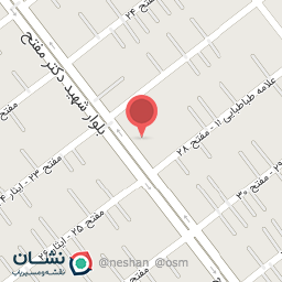 عکس نقره و بدلیجات روی