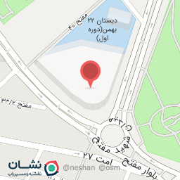 عکس کیف و کفش آنا