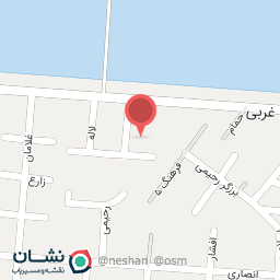 عکس گروه حفاظتی بینش