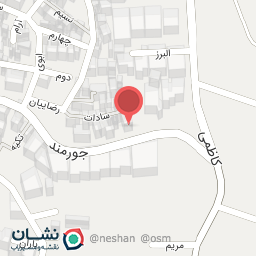 عکس قالی شویی شروین