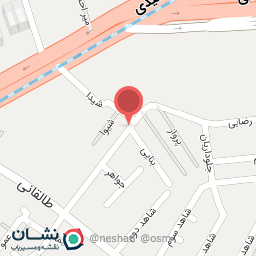 عکس کفش ایلیا