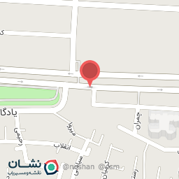 عکس اتو سرویس مهدی