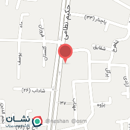 عکس سنگ تراشها