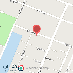 عکس هیئت انصارالرضا رهروان شهدا کرج