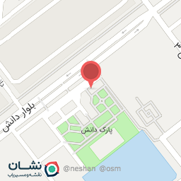 عکس پیتزا دهکده