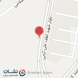 عکس آرایشگاه مانی