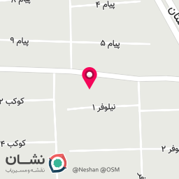 عکس کیف و کفش زنانه زرین