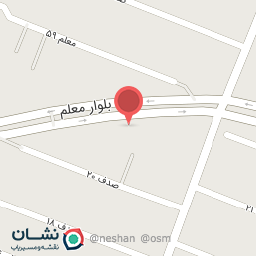 عکس خاتون برگر