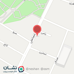 عکس خودپرداز